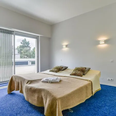 Vintage With Indoor Swimming Pool Villa Strasbourg
